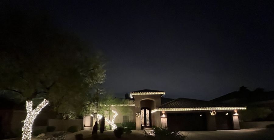 Desert home with a clean roofline and wrapped tree trunks