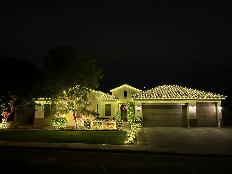 Single-story home at night with a warm white roofline, wrapped trees, and lit shrubs