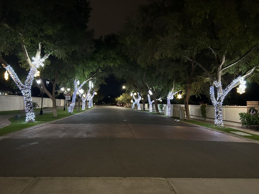 A row of tree trunks and branches wrapped in white lights along a neighborhood entry